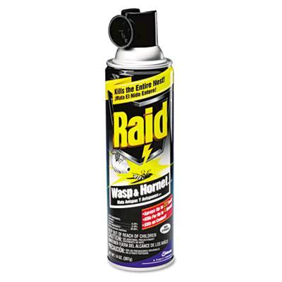 Rental store for Raid Wasp Hornet Killer 14oz. in Aberdeen OH