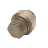 Rental store for Sharkbite End Stop 3 4 in Aberdeen OH