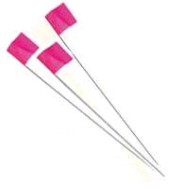 Rental store for Stake Flags Pink Bundle Of 100 in Aberdeen OH