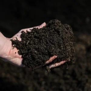 Where to find Dutch Cow Manure 1 Cu.Ft. Bag in Aberdeen