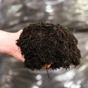 Where to find Organic Leaf Compost 1 Cu. Ft. Bag in Aberdeen
