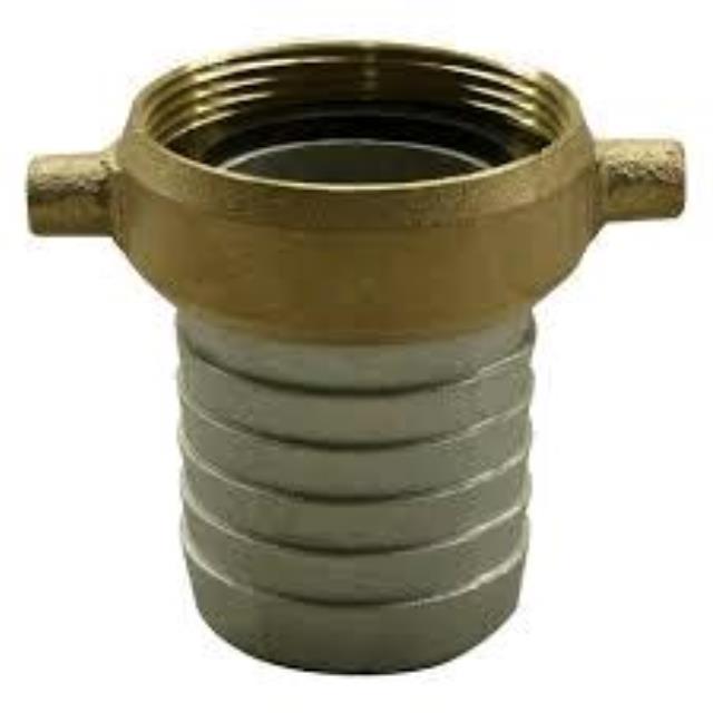 Rental store for Water Shank 2  Female in Aberdeen OH