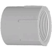 Rental store for Adapter, 1-1 4  PVC Female in Aberdeen OH