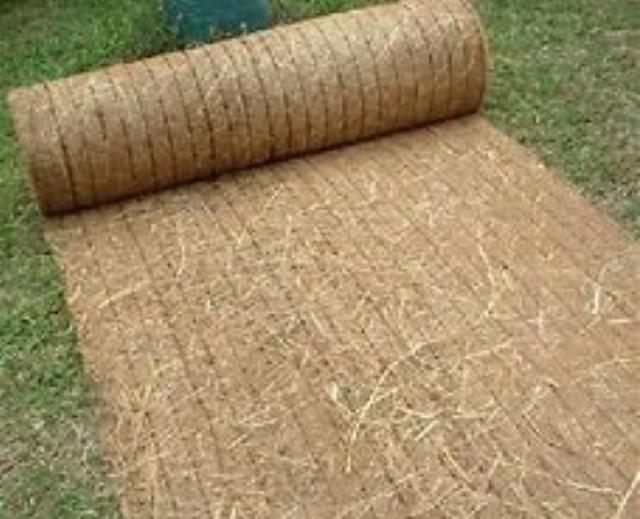 Rental store for Straw Blanket 8 x112.5 in Aberdeen OH