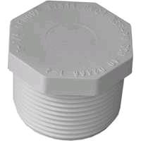 Rental store for Plug, 1-1 4  PVC MIP in Aberdeen OH